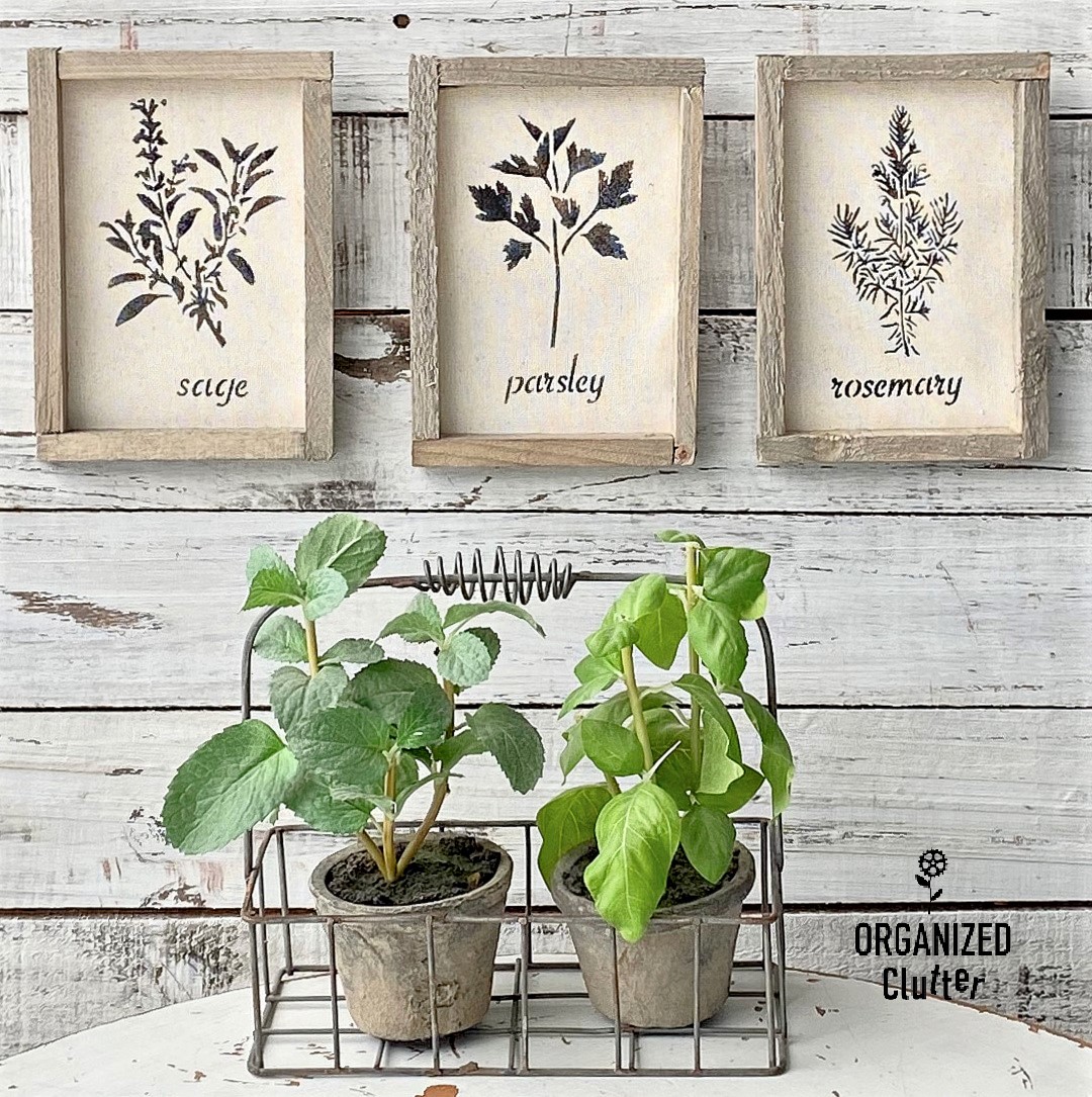 Dollar Tree Reverse Canvas Stenciled Herbs - Organized Clutter