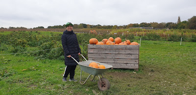 Baby se divertindo na colheita para o Halloween