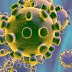 Hanta virüsü Virions