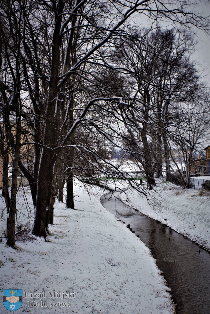 Nagły atak zimy w Kolbuszowej - zdjęcie nr 4.