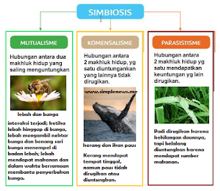 Pamflet SIMBIOSIS mutualisme komensalisme dan parasisitisme www.simplenews.me
