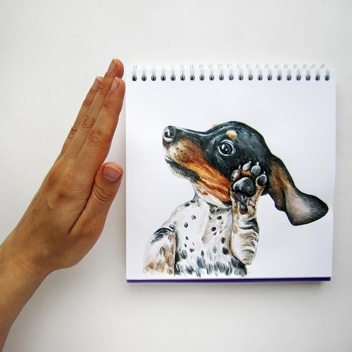 23-Talk-to-the-Hand-Valerie-Susik-Валерия-Суслопарова-Cats-and-Dogs-Interactive-Animal-Drawings-www-designstack-co