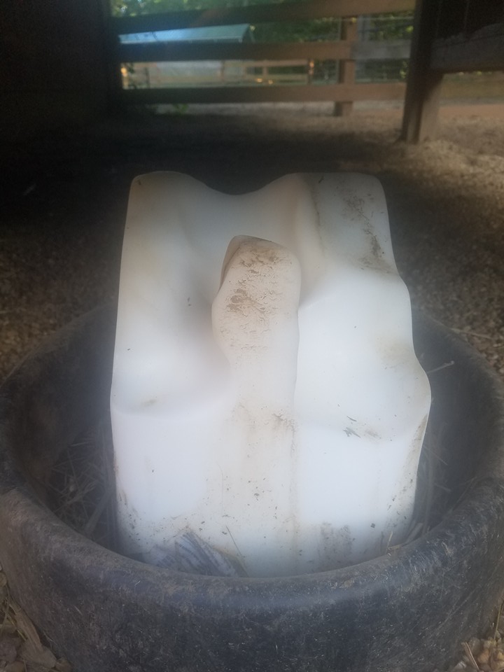 Equinpilot Friday Funny Salt Lick Art