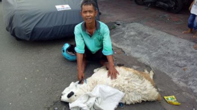 Mau Jual Kambing Untuk Idul Adha, Nasib Malang Malah Menimpa Bapak Ini