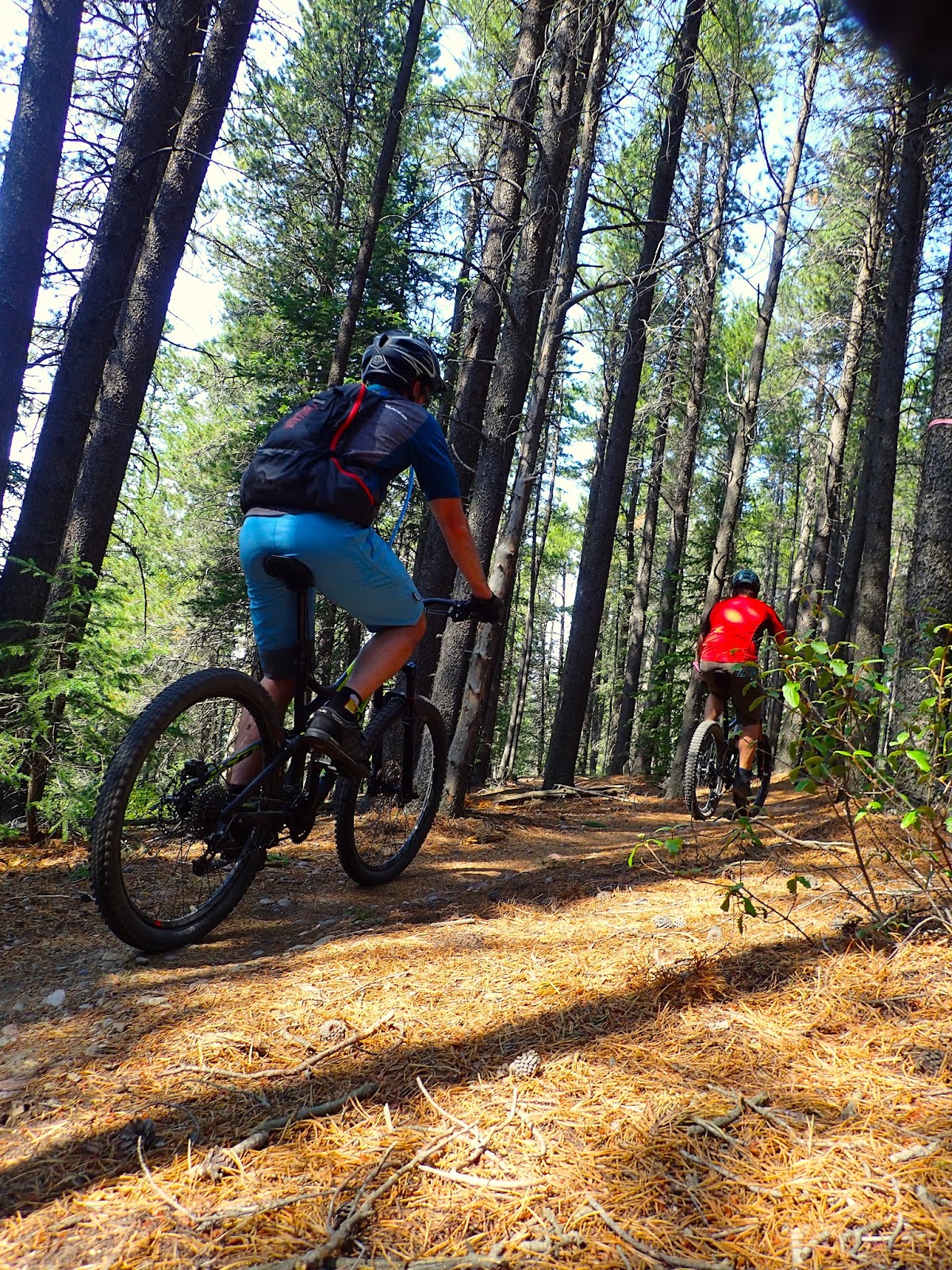 cypress mountain downhill