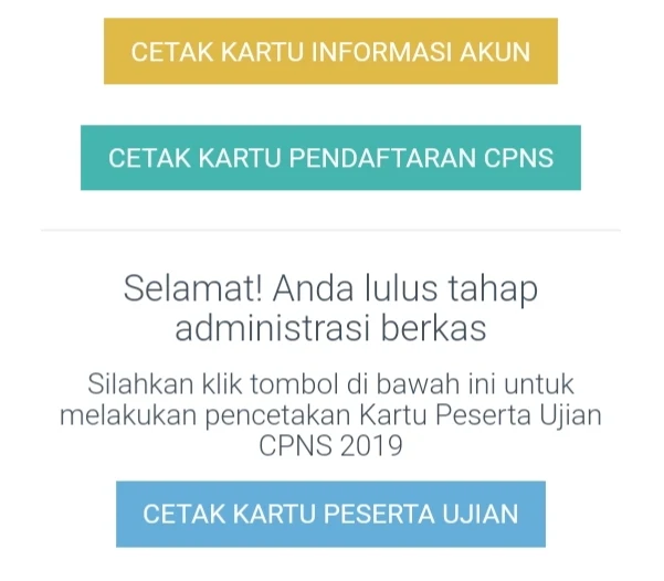 Kartu Ujian CPNS 2019 sudah bisa dicetak