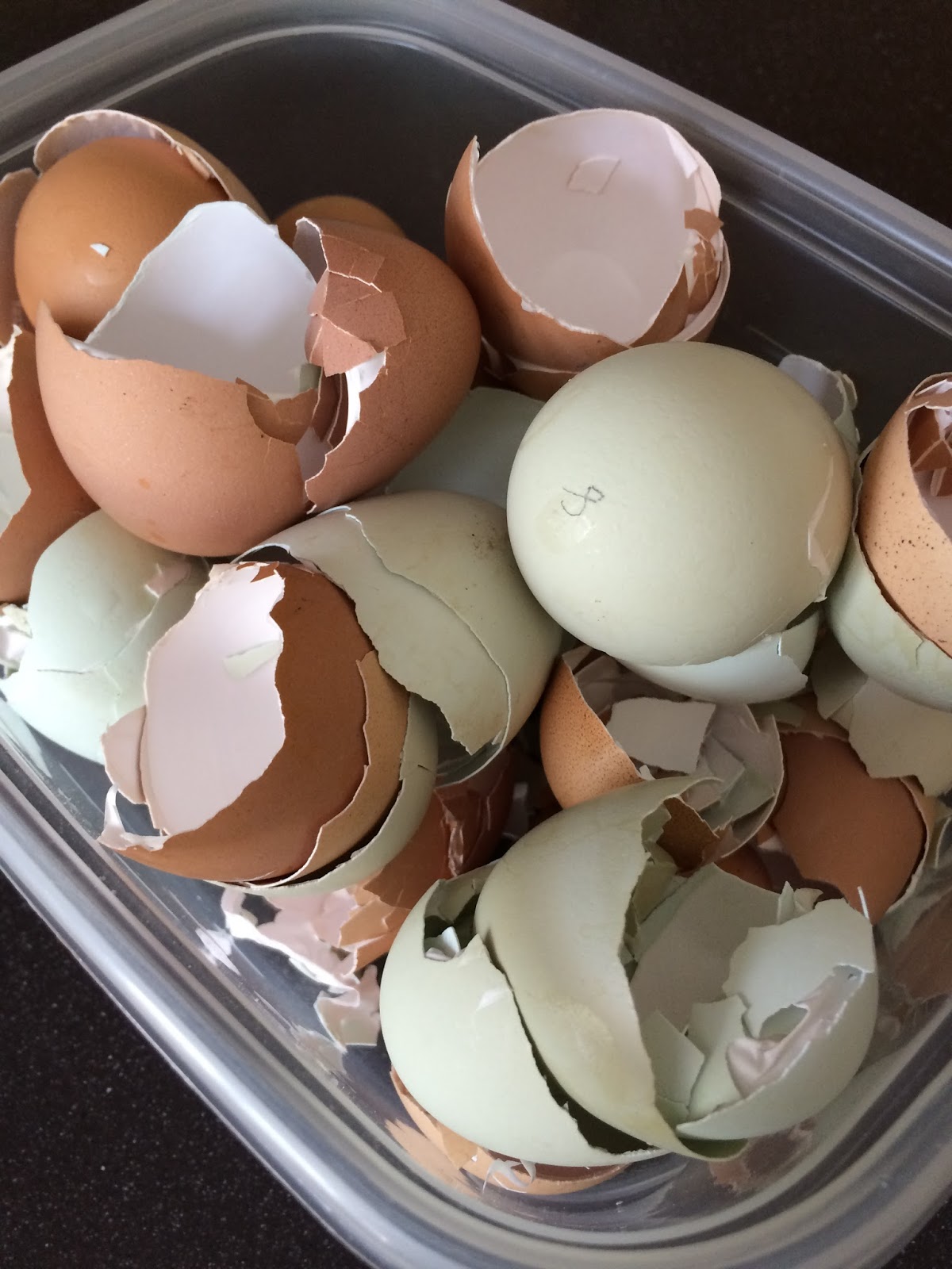 We Love Texas Egg Shells