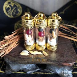 Element Mustika Spiritual : Wealth Fetching King Centipede