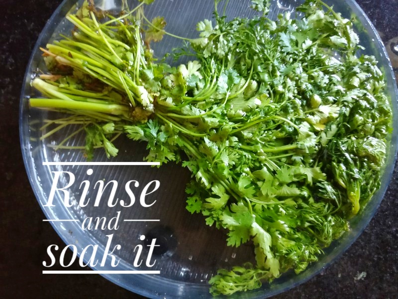Veg Indian Cooking How to keep coriander leaves fresh in the