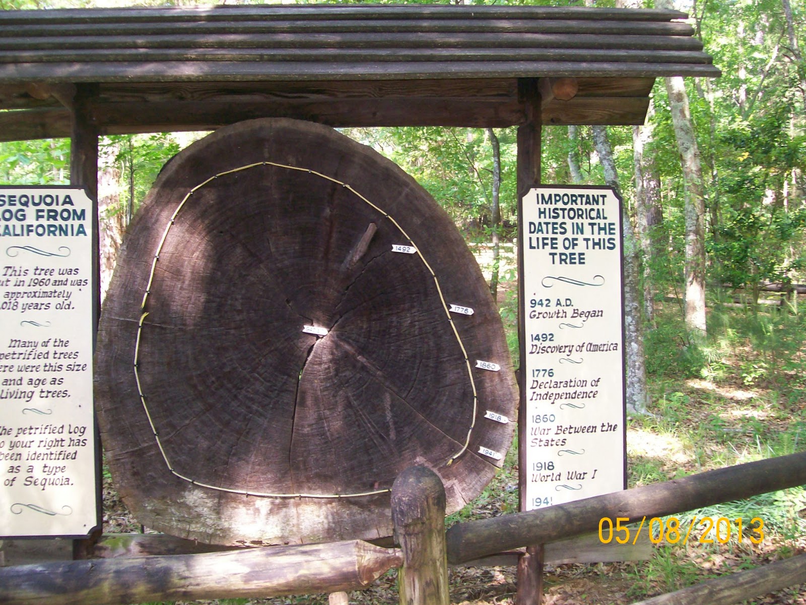 Rockhounding Around Mississippi Petrified Forest, Flora MS