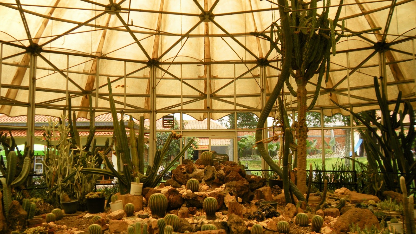Journey of Love: Cactus Garden, Taman Mini Indonesia Indah