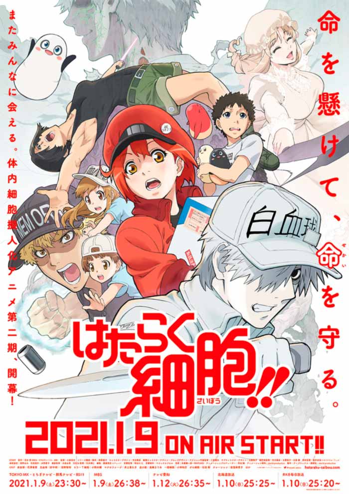 Cells at Work! (Hataraku Saibou) anime - Temporada 2 - poster