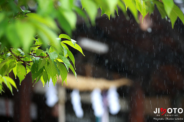 小泉神社お宮参り出張撮影