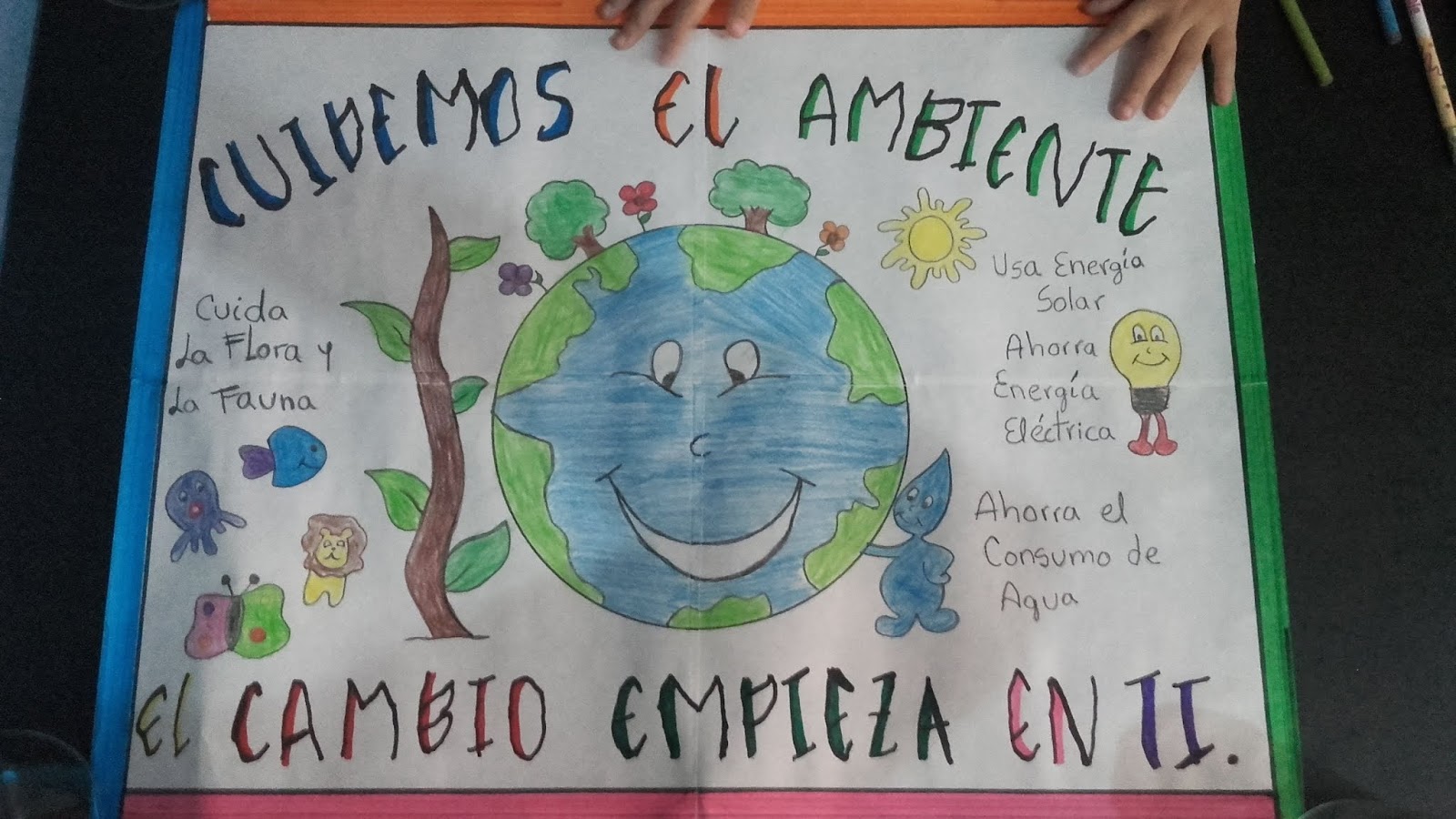 Actividades Primaria cartel CUIDADO DEL MEDIO AMBIENTE