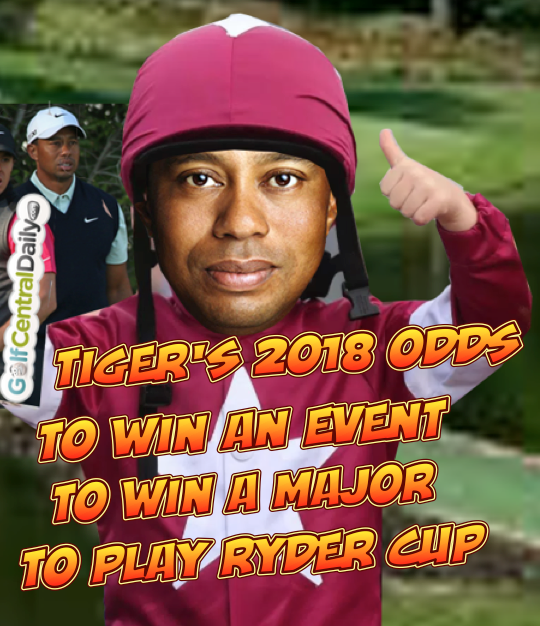Tiger odds Tiger odds