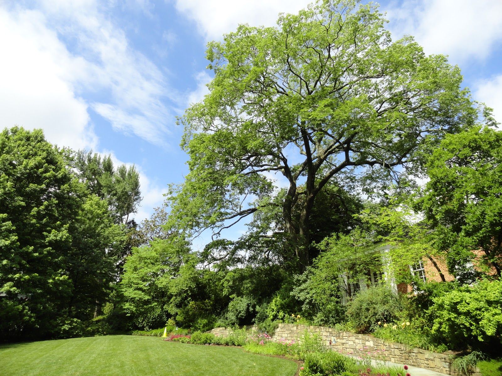 danger garden: Hillwood Estate; our first official stop on the 2017