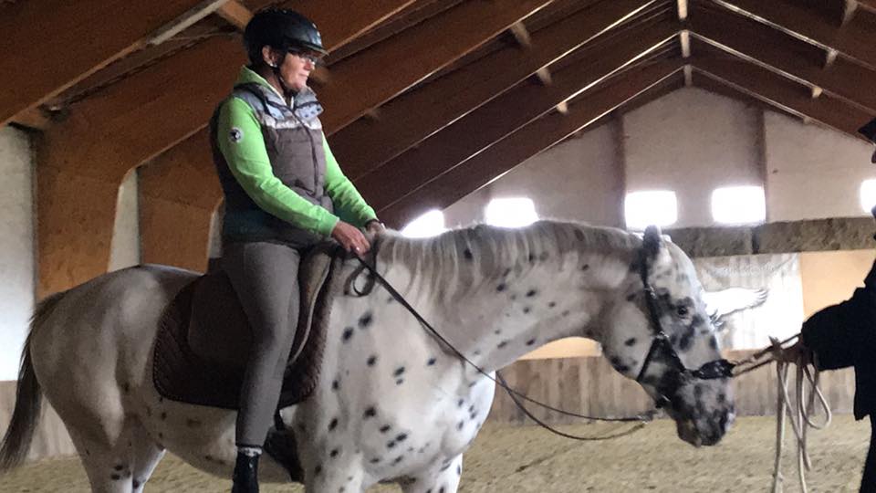 Equisyst ® Systemische Aufstellungen für Pferd und Mensch erstes Mal tragen lassen... Equisyst ® Systemische Aufstellungen für Pferd und Mensch erstes Mal tragen lassen...