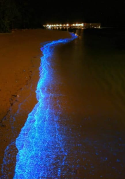 صيفك مختلف الشواطيء المختلفة والجذابة صيفك مختلف الشواطيء المختلفة والجذابة