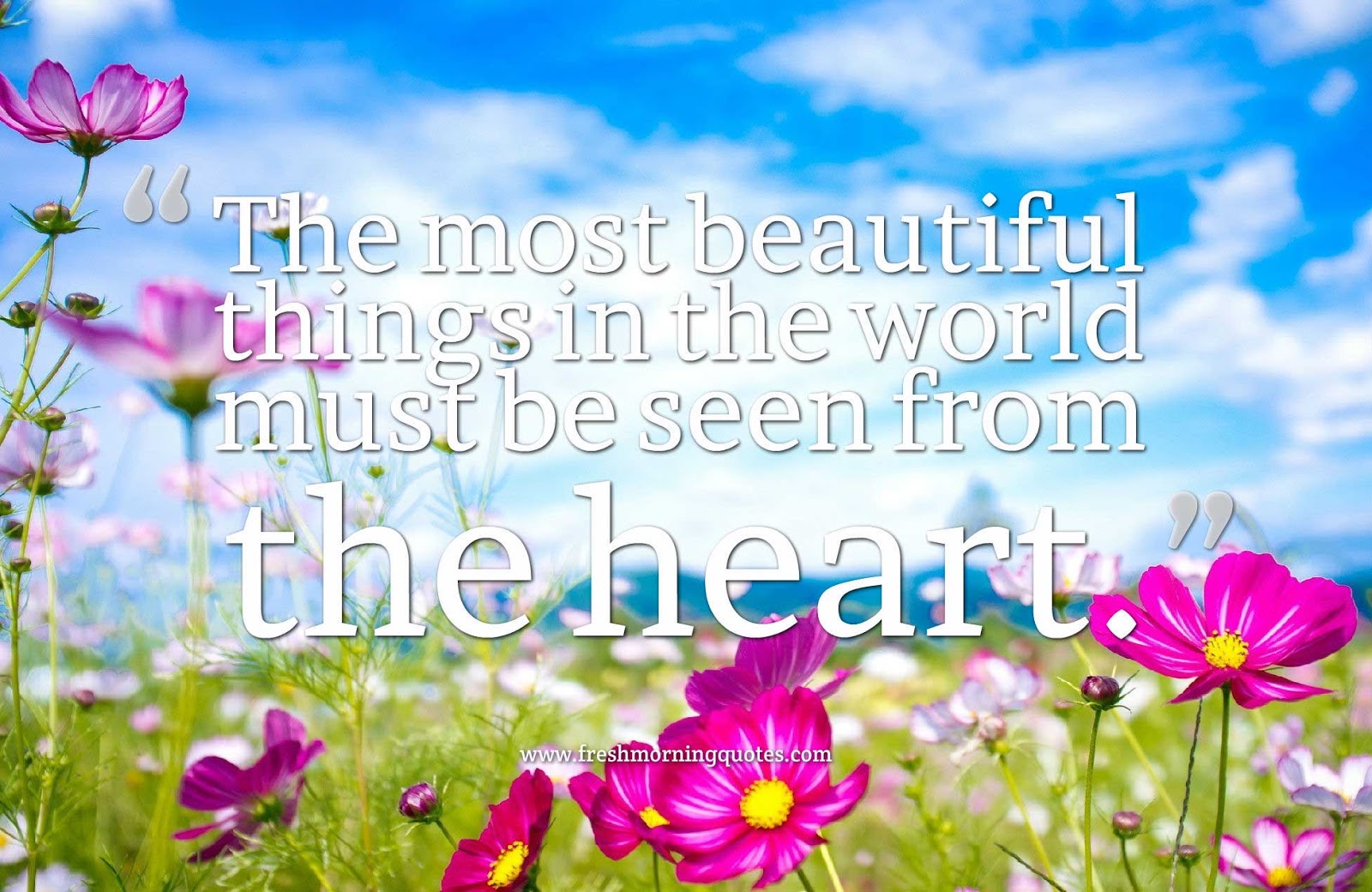 the most beautiful things in world happy Wednesday quotes