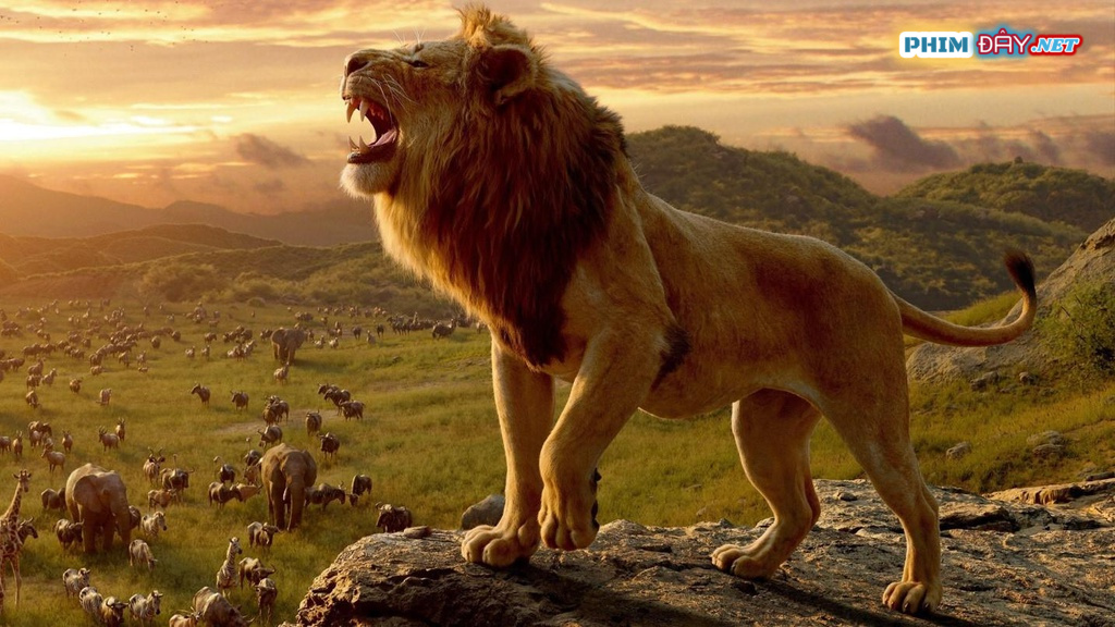 VUA SƯ TỬ - The Lion King (2019) VUA SƯ TỬ - The Lion King (2019)