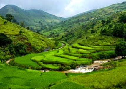 araku valley andhra pradesh tourism