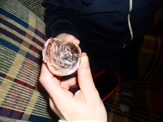 "ÇOKOPRENSiMiN HALLERi"