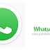 Download WhatsApp v0.2.8000 for Windows x86 / x64 - WhatsApp Messenger for Windows