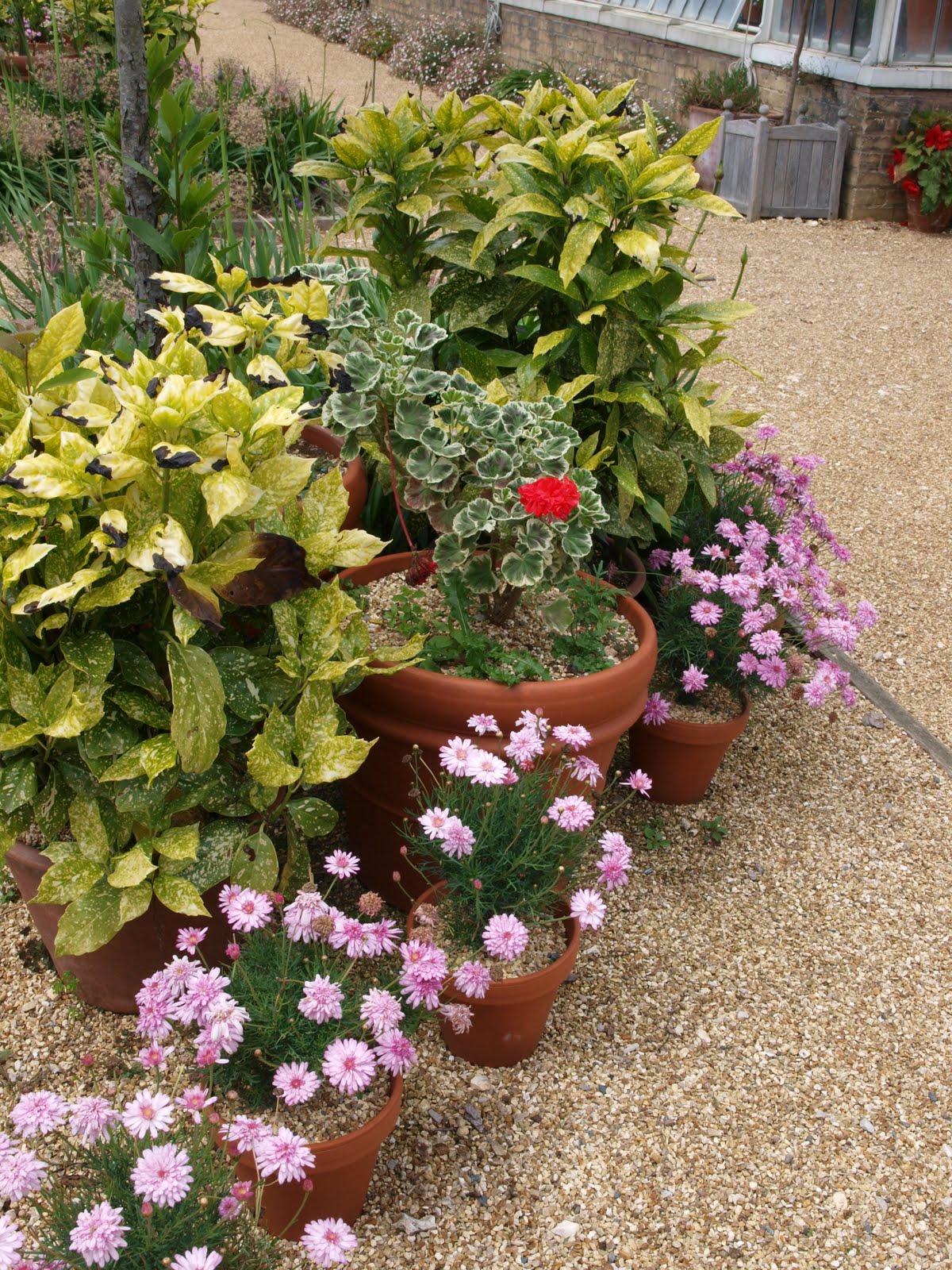 Ragged Robin's Nature Notes Osborne House and a Cream Tea at Ventnor