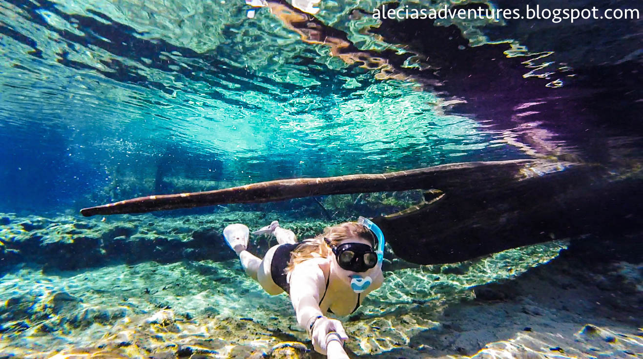 Ginnie Springs, Florida Freshwater Diving Alecia's Adventures