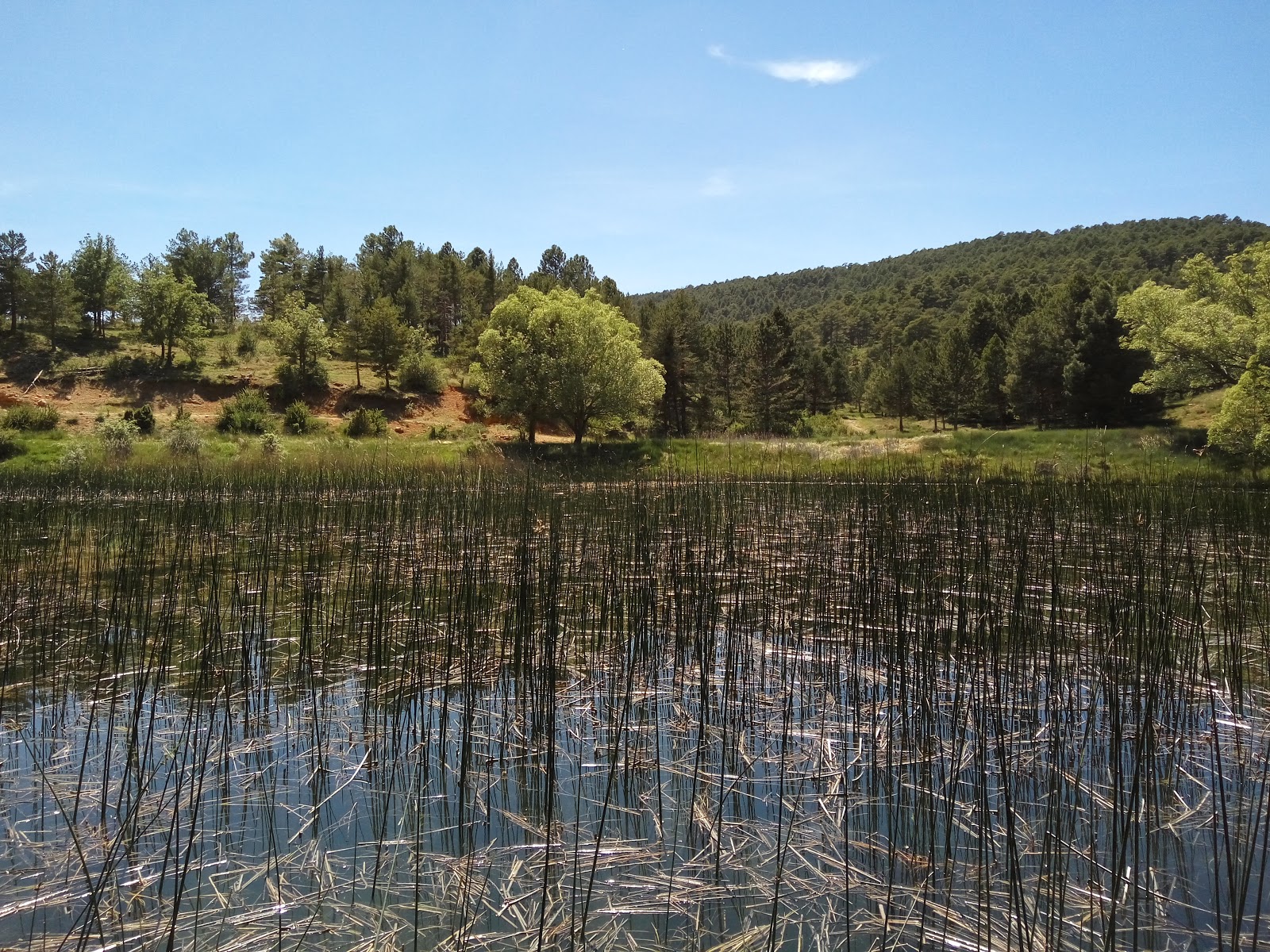 Foto de Zona Recreativa El Algarbe en Terriente, Teruel