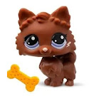 Littlest Pet Shop Series 2 Starter Pack Pomeranian (#G7 - #60) Pet Littlest Pet Shop Series 2 Starter Pack Pomeranian (#G7 - #60) Pet