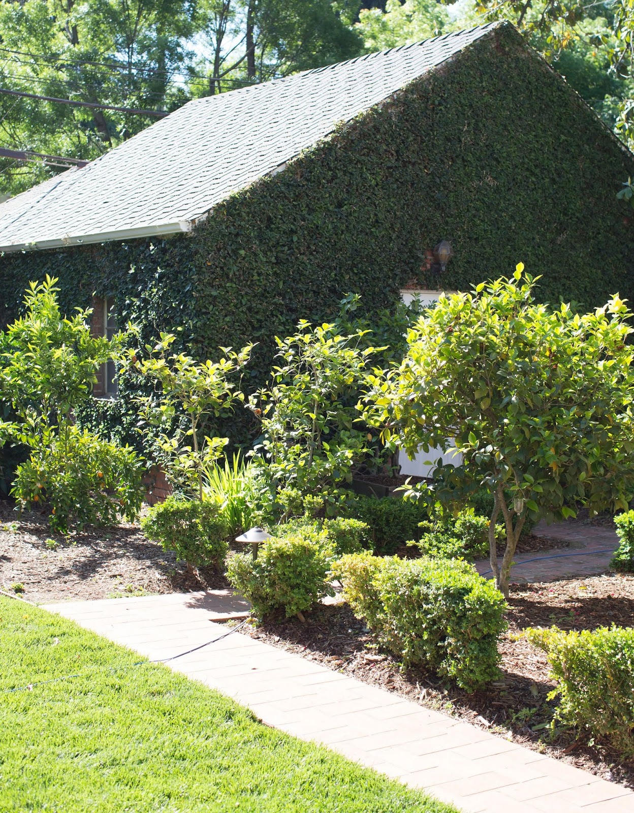 Sacramento Digs Gardening 'Duchess Pinky' house on East Sac Garden Tour