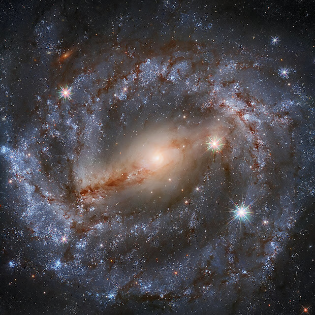 Intermediate Spiral Galaxy NGC 5643