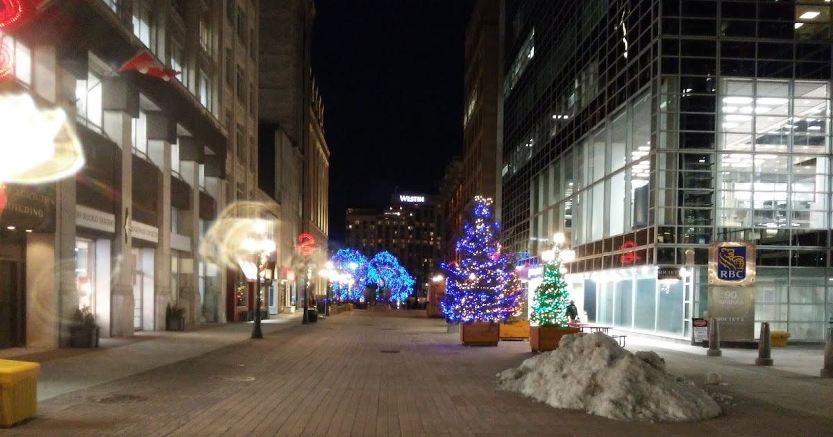 Ottawa Daily Photo Violet