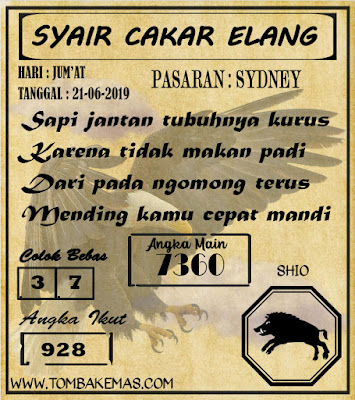 SYAIR SYDNEY 21-06-2019