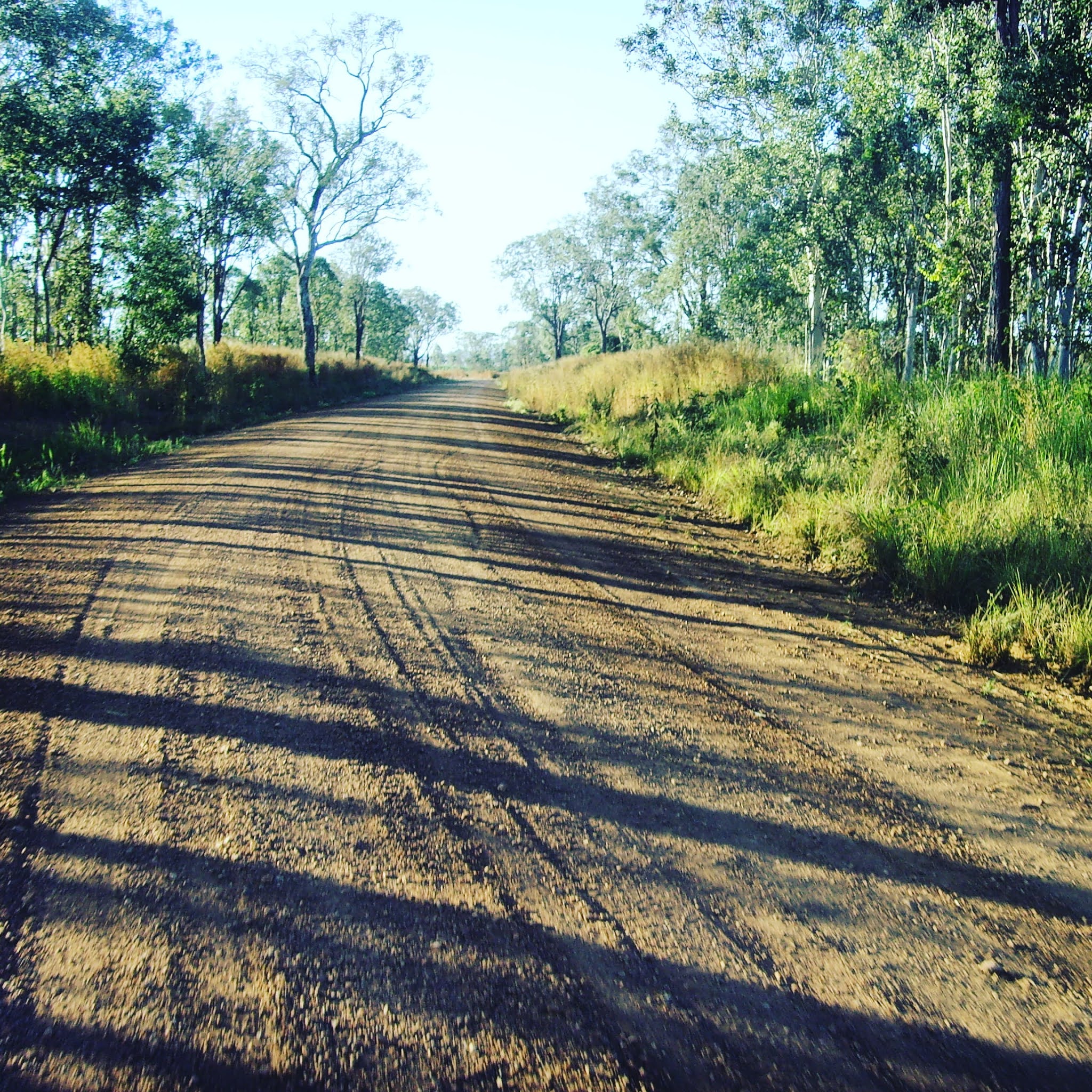 dusty brown road with tree shadows in australia on the drive from Sydney to cairns