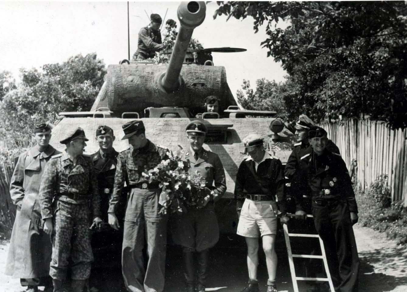 5 SS Panzer Division Wiking