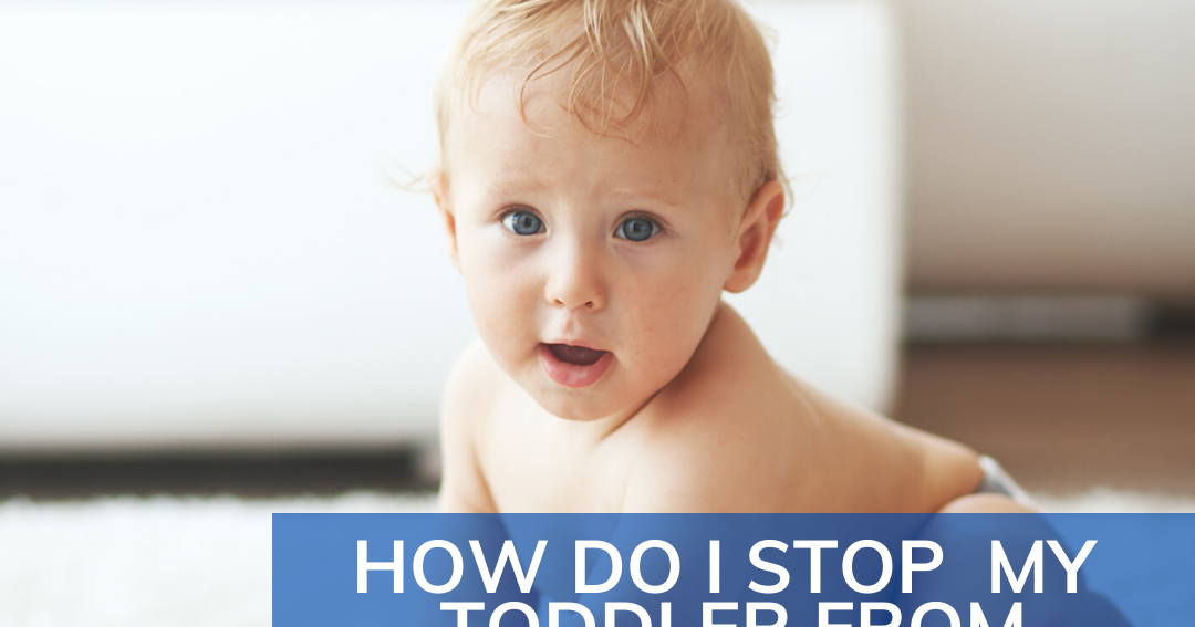 Toddler Approved! How Do I Stop My Toddler from Throwing Things!