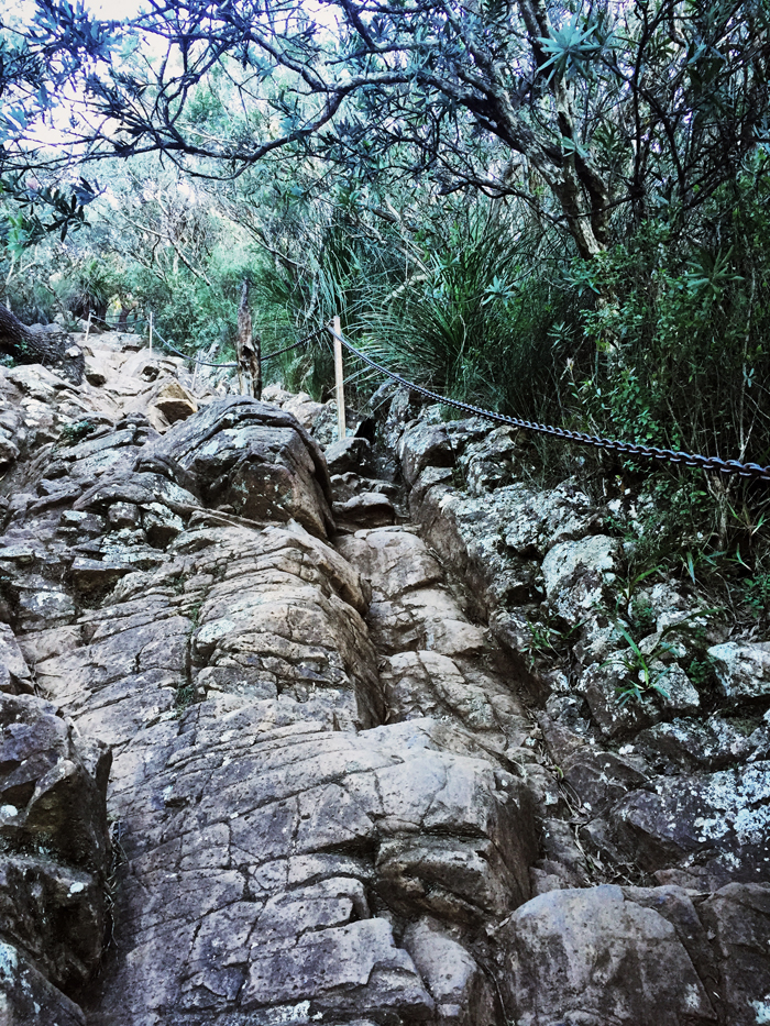 mount warning