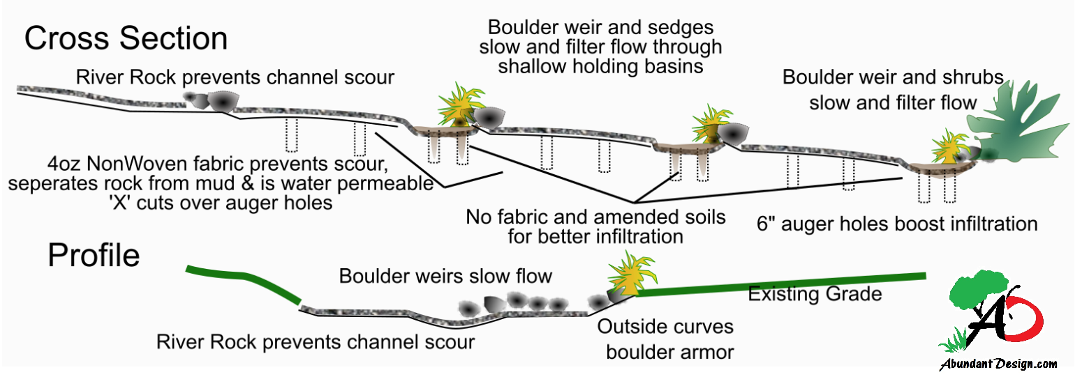 Abundant Design Drainage Easement Makeover, Naturally