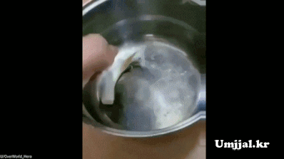 Umjjal_kr_033.gif