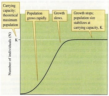 Homosexuality Is Nature Way Of Population Control Homosexuality Is Nature Way Of Population Control