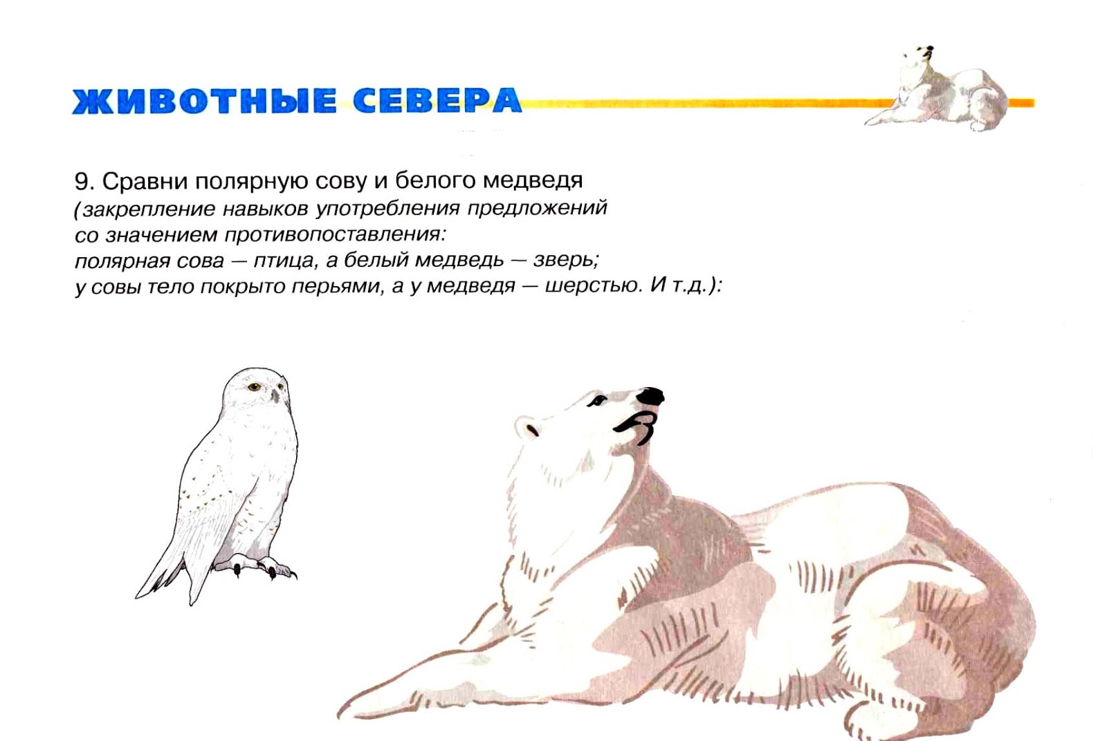 животные севера задания для дошкольников. тема животные севера. лексическая тема животные севера подготовительная. тема животные севера. животные севера задания для дошкольников.