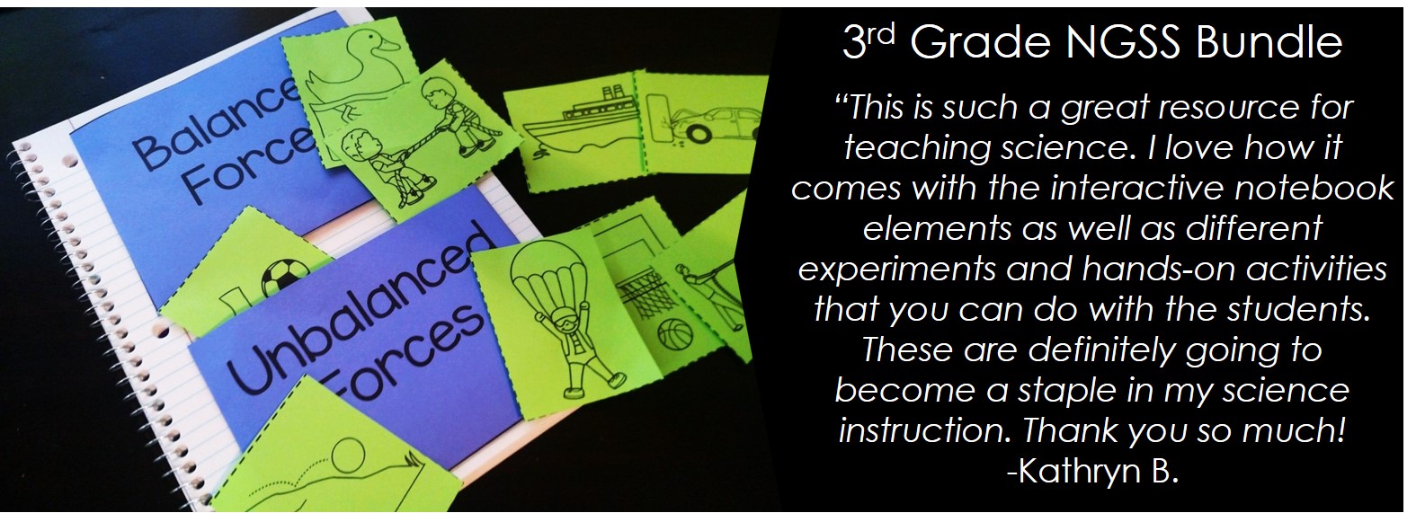 Review of 3rd Grade NGSS Bundle