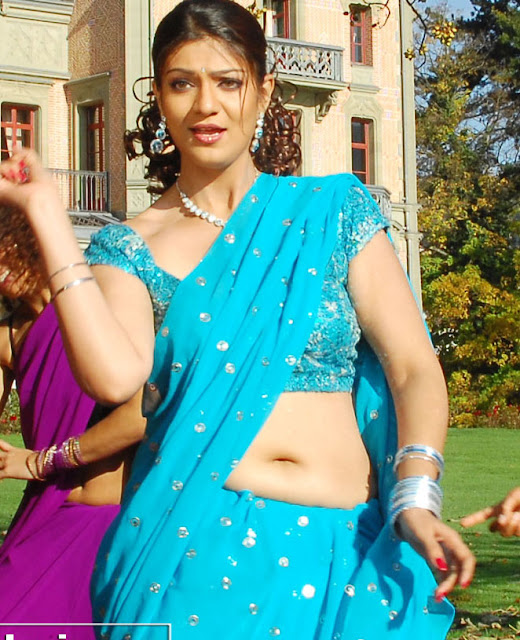 South Actress Siya Hot Navel Exposing In Saree Hot Girls Of Bollywoods