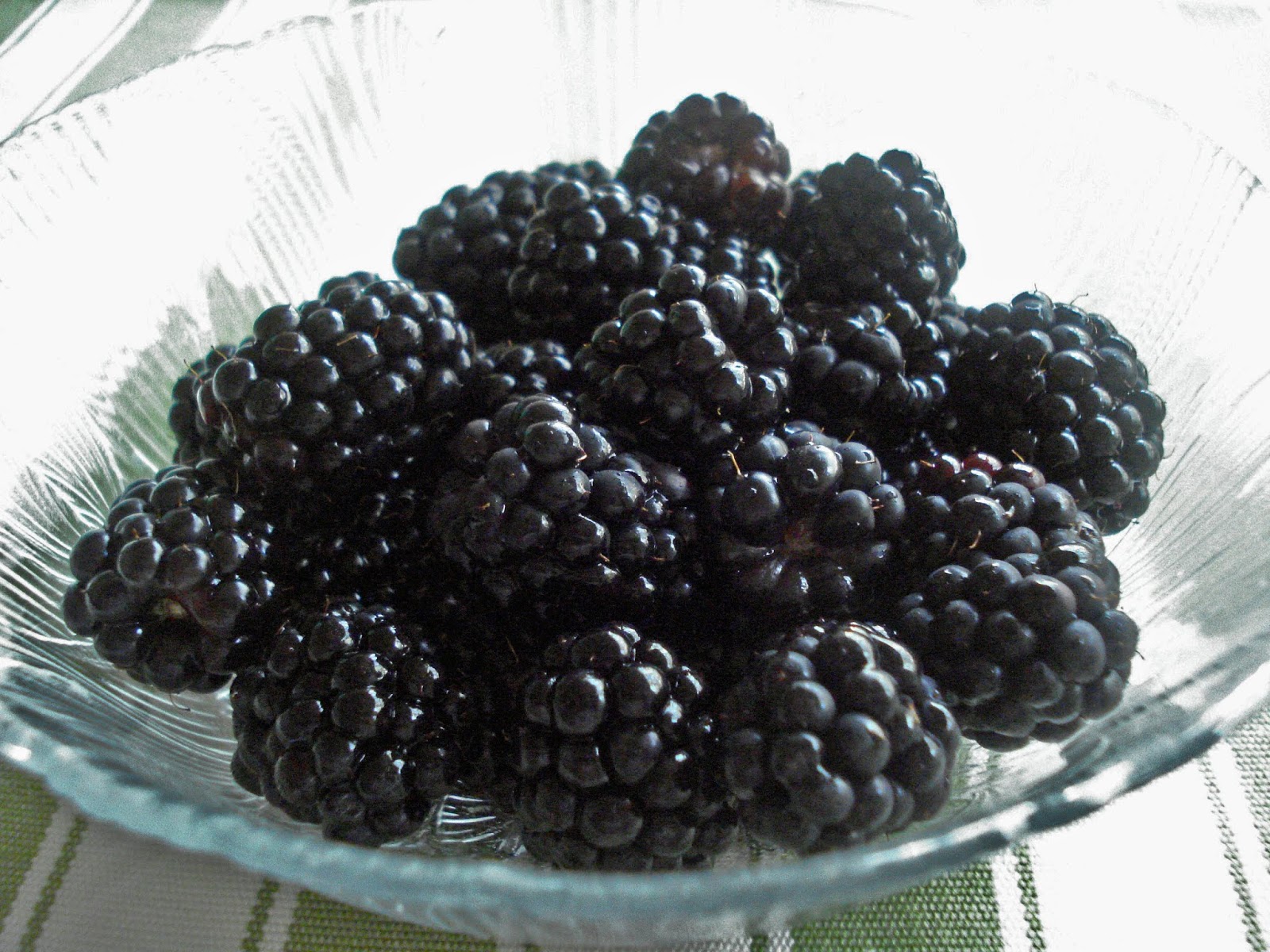 Can You Freeze Blackberries?