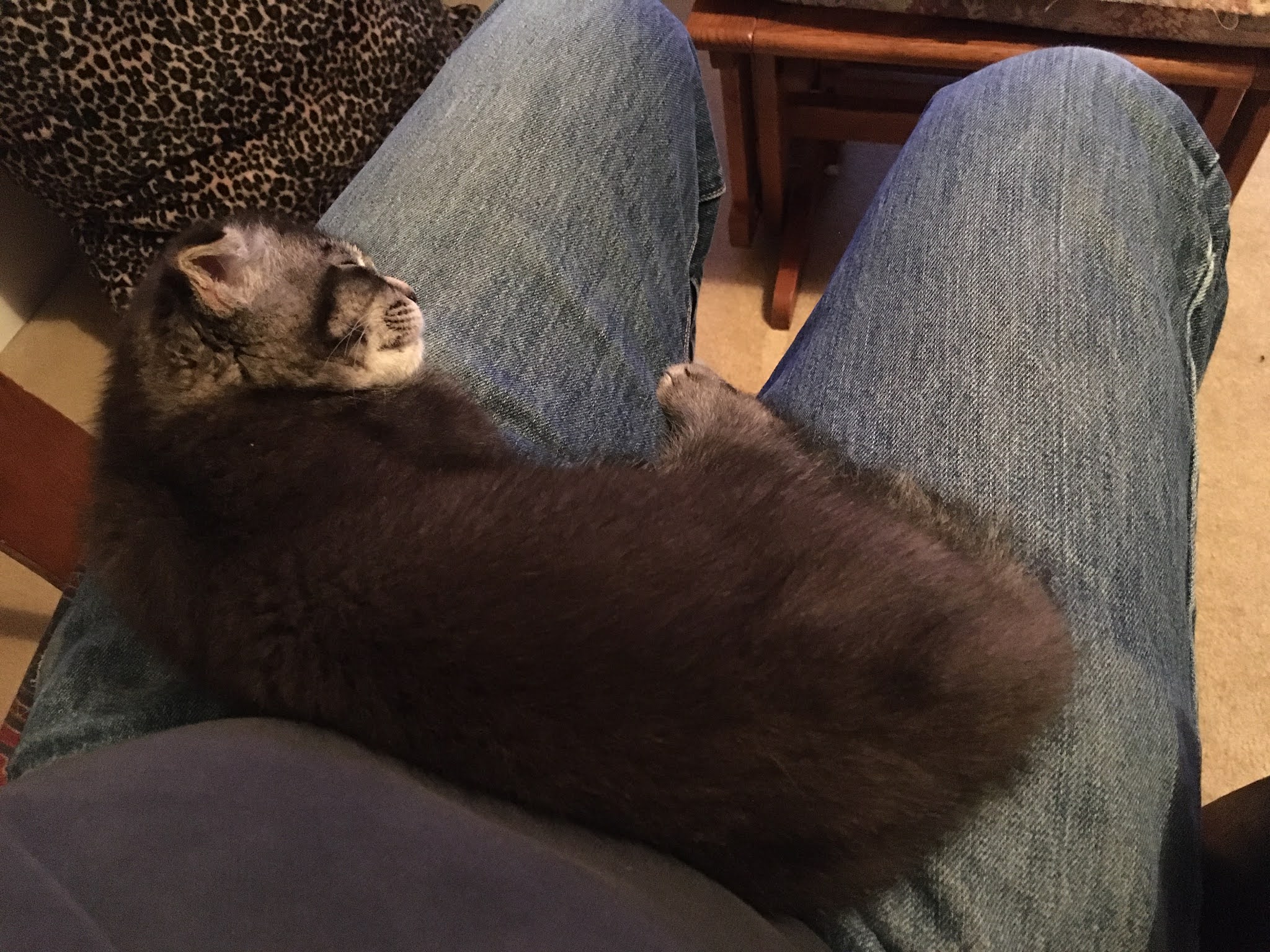 Football with Winston Football with Winston