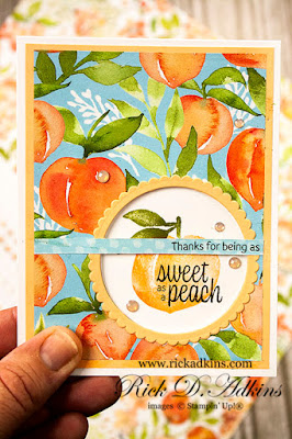 Check out my super easy window card using the Sweet as A Peach Stamp Set from Stampin' Up! Click here to learn more