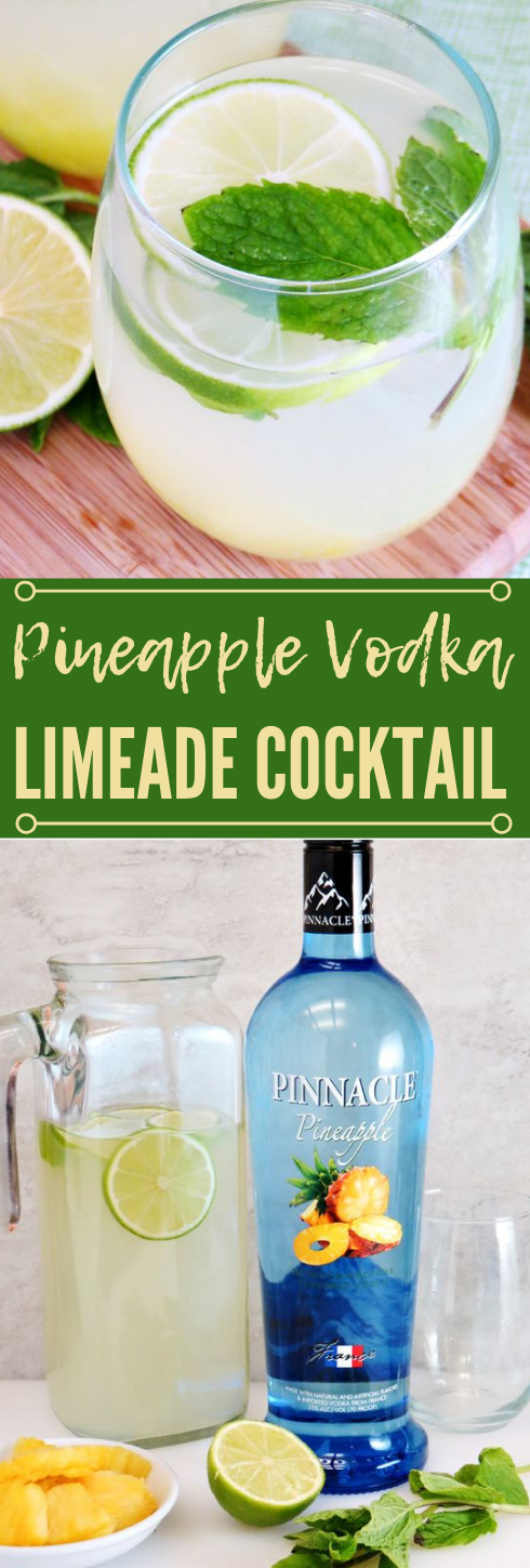 Pineapple Vodka Limeade #sangria #cocktail #vodka #smoothie #pineapple Pineapple Vodka Limeade #sangria #cocktail #vodka #smoothie #pineapple