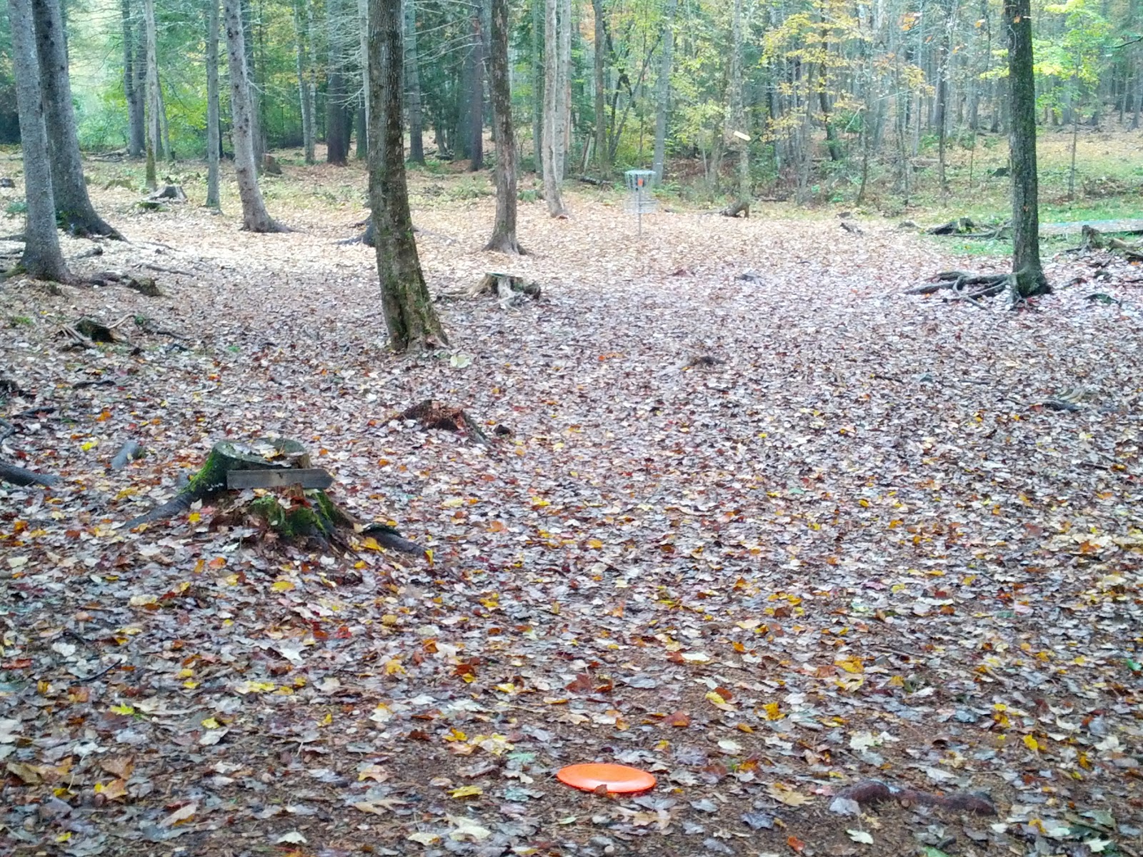 DR Disc Golf Orrington Disc Golf Top 100 Pilot Numbers